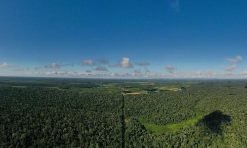 Vista aérea de floresta na região de Vitória-ES