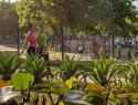 imagem mostra pessoas aproveitando parque revitalizado em barranquilla
