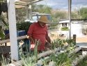 Agricultura familiar