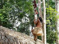 Criança indígena Yawanawá sobe em árvore durante a terceira edição do Festival Mariri, realizado na Aldeia Mutum da Terra Indígena do Rio Gregório, no Acre. (Foto: Sérgio Vale/Secom)