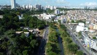 Imagem área mostra área de Salvador com muitas árvores e zona urbana ao fundo