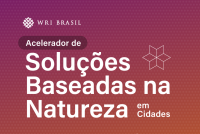 logotipo do Acelerador de SBN em Cidades do WRI Brasil