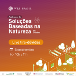 ilustração com informações básicas sobre a iniciativa, constantes no texto