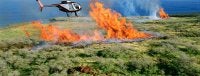 incêndio florestas
