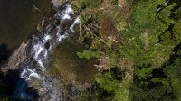 Mata ciliar do Rio Papudos, no RJ