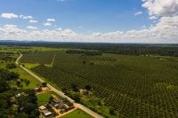 Foto drone Linhares - Espírito Santo, ES