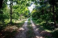Santa Bárbara - visita 