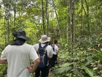 Visita de campo no Pará