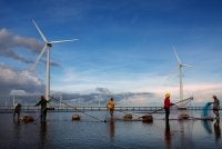 Pescadores arrumam redes em frente a estrutura de energia eólica