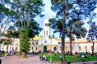 pessoas senadas ao ar livre em praça sob árvores