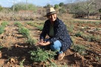 Caatinga