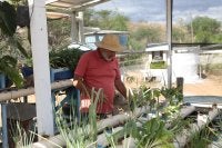 Agricultura familiar