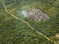 Desmatamento na Amazônia aumentou as emissões de CO2