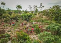 Área sendo preparada para plantio de sistema agroflorestal em Juruti, no Pará (foto: Preta Terra)