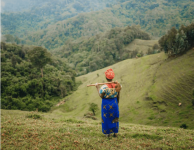 imagem de mulher de costas em área verde em Ruanda