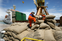 trabalhadores movem sacos de cacau no porto de ilhéus na bahia