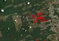 Alertas de incêndio do GFW indicam focos em torno de terras agrícolas no Pará, de 18 a 19 de agosto