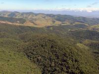 Vista aérea de paisagem com cobertura vegetal na porção paulista do Vale do Paraíba (Foto: Paulo Thiago/Bellair Vídeos)