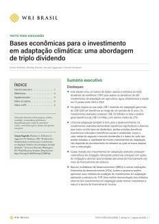 Bases econômicas para o investimento  em adaptação climática: uma abordagem  de triplo dividendo