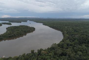 Foto aérea de floresta regenerada na Amazônia
