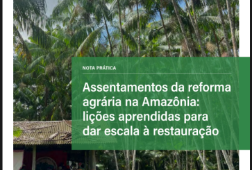 Capa da publicação com floresta ao fundo 