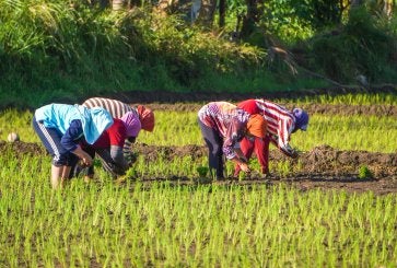 pessoas agachadas em uma paisagem rural
