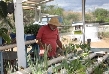 Agricultura familiar