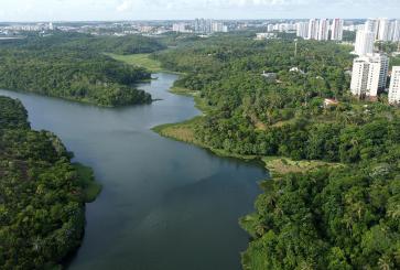imagem aérea de parque, corpo d'água e cidade