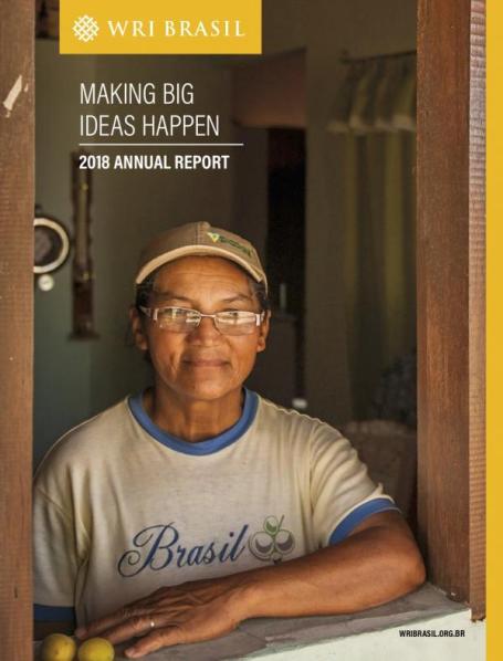 WRI Brasil 2018 annual report cover