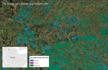 Ganho e perda de árvores na região de Tigray, na Etiópia, entre 2000 e 2020