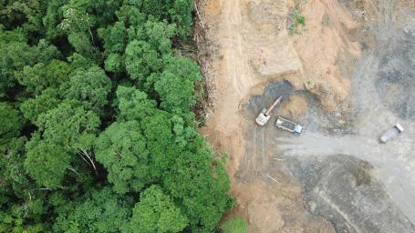 imagem de drone de um local desmatado para plantação de óleo de palma na Malásia