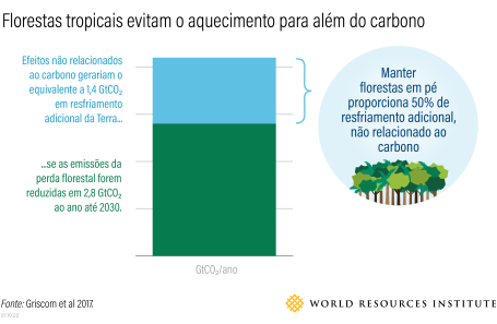 Florestas tropicais tem um potencial de resfriamento 50% maior quando considerados também seus efeitos climáticos não associados ao carbono