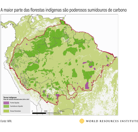 mapa mostra como terras indígenas são importantes sumidouros de carbono
