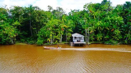 Barco navega pela floresta amazônica entre Macapá e Belém, no Brasil