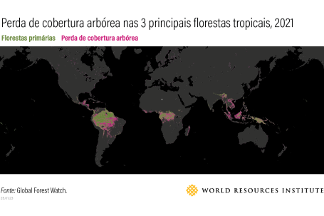 gráfico mostrando perda florestal na Amazônia, Congo e Indonésia