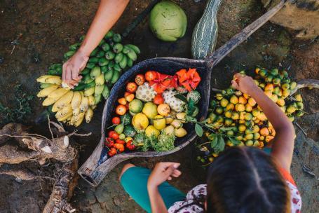 imagem de frutas da colheita da agricultura familiar em Apuí, Amazonas
