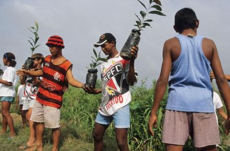 Membros de uma comunidade próxima de Santarém, no Pará, descarregam mudas em uma iniciativa de reflorestamento na Amazônia. 