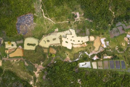 Na Yangambi Engagement Landscape, na República Democrática do Congo, as florestas são intercaladas com a aquicultura e a agricultura. 