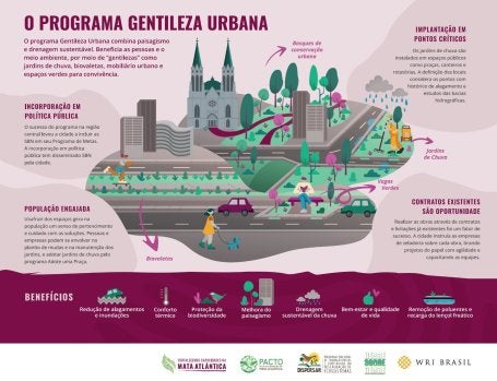 infográfico sobre o programa Gentileza Urbana