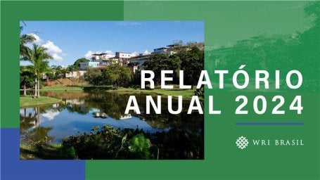 relatório anual wri brasil 2024