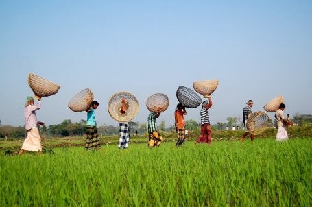 Habitantes de Sylhet, em Bangladesh, a caminho de um festival tradicional de pesca