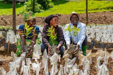 Pessoas seguram mudas de plantas em projeto de restauração em Ruanda
