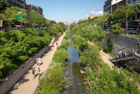 córrego urbano com margens renaturalizadas, cheias de vegetação