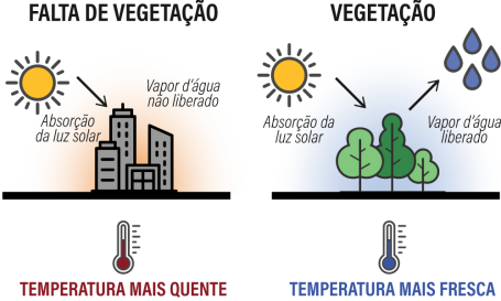 gráfico mostra como vegetação influencia o calor