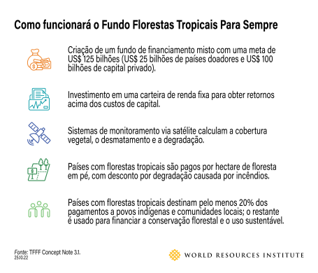 Infográfico sobre o Fundo Florestas Tropicais Para Sempre