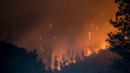 Incêndios florestais extremos são eventos de alta intensidade que causam perda generalizada de florestas e danos ecológicos a longo prazo. São frequentemente causados por condições climáticas extremas, desmatamento descontrolado e acúmulo de vegetação. 