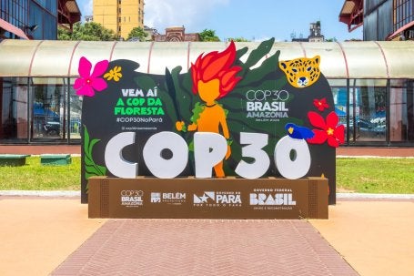 Painel temático da COP30