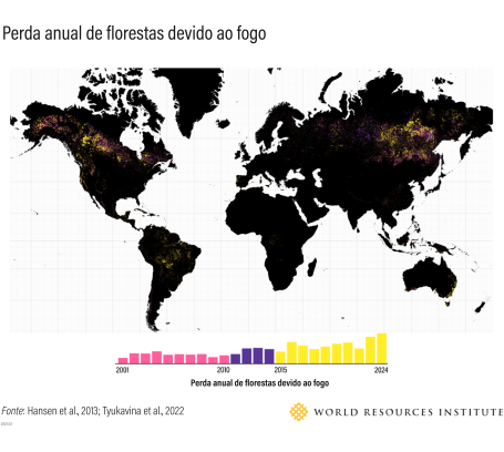 gráfico perda anual de florestas 