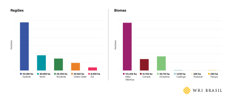 Gráfico analisa regiões e biomas
