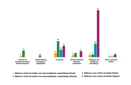 Tipos de risco percebidos durante eventos climáticos por mulheres chefes de família ou com responsabilidade compartilhada no Brasil e na Zâmbia